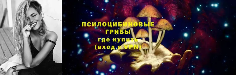 закладка  Ирбит  Галлюциногенные грибы Psilocybine cubensis 